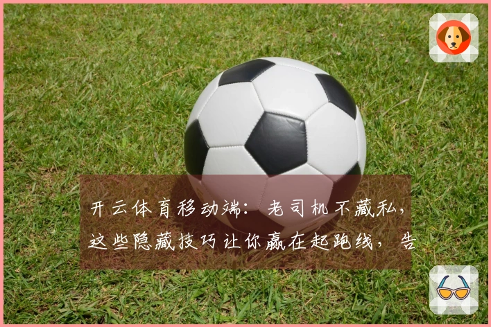 开云体育移动端：老司机不藏私，这些隐藏技巧让你赢在起跑线，告别菜鸟！