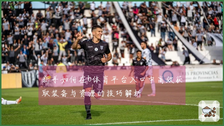 新手如何在b体育平台入口中高效获取装备与资源的技巧解析