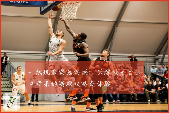 一线玩家实话实说：买球站平台入口带来的游戏攻略新体验