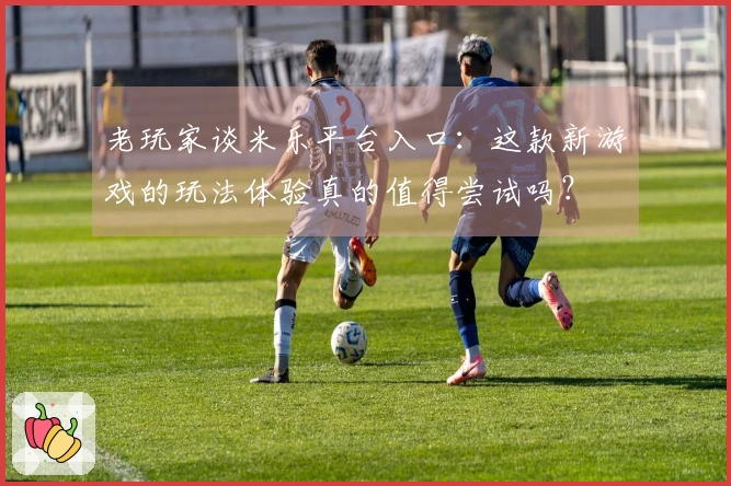 老玩家谈米乐平台入口：这款新游戏的玩法体验真的值得尝试吗？