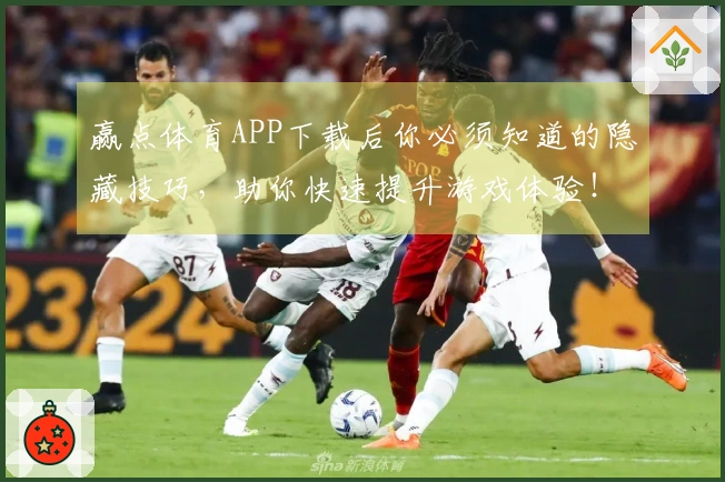 赢点体育APP下载后你必须知道的隐藏技巧，助你快速提升游戏体验！
